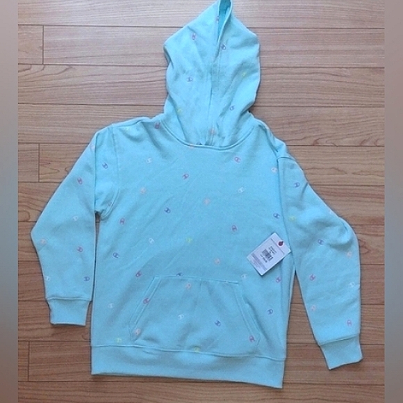 Champion Pullover Hoodie Blue Mist with Tiny Multicolored Logos Size XL - Picture 1 of 7
